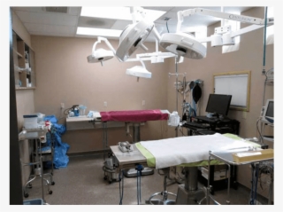 Procedures