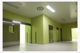 Reconstruction Of The 7th Block In The Gailezers Hospital