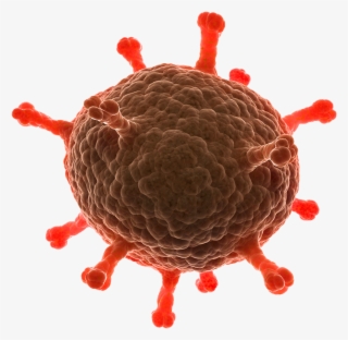 Disease Free Download Png