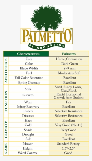 Palmetto St