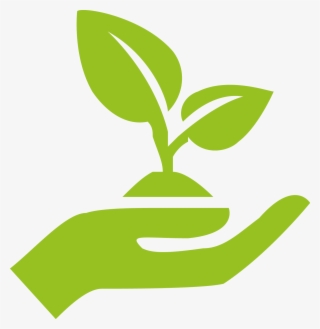 Facts And Figures Of The 2nd Call For Proposals