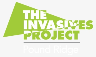 The Invasives Project