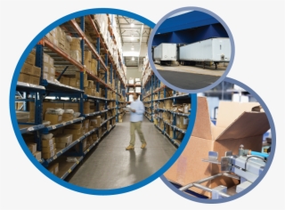 Distribution / Demand Fulfillment
