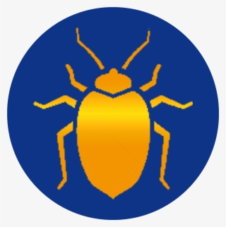 Bed Bug Treatment Bed Bugs Bed Bug Bites Elite Pest