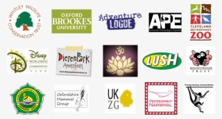 Logos Slow Copy