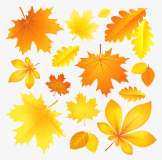 Download Transparent Fall Leaves Picture Clipart Png