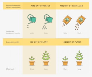 Dependent Variable Science Png