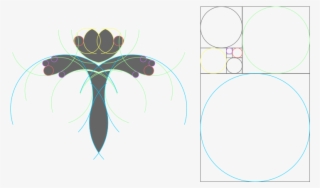 View The Design Process