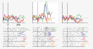 Response Of An Anterior Inferotemporal Cortex Neuron