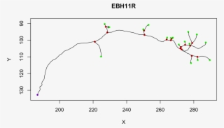 All Methods For Neuron Objects Methods