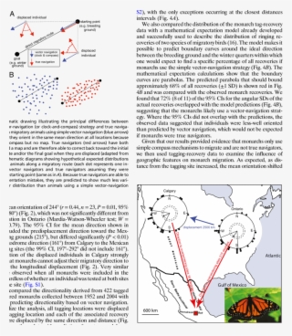 Circular Plots Depicting The Individual And Group Mean
