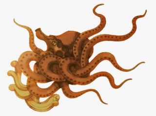 Kraken Icon