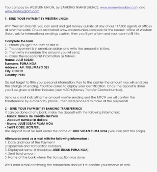 You Can Pay By Western Union, By Banking Transference,