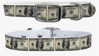 100 Dollar Bill Dog Collar