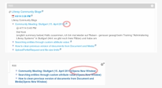 Sos Theme Open New Window Accessible