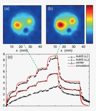And (b) Sos Maps At Two Different Levels Of Irradiation,