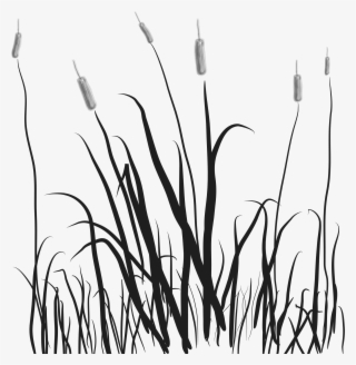 Cat Tails In The Marsh Vector File Image