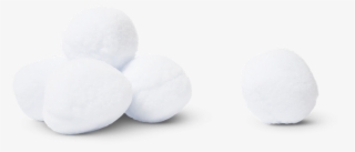 You Throw A Snowball At Your Mother