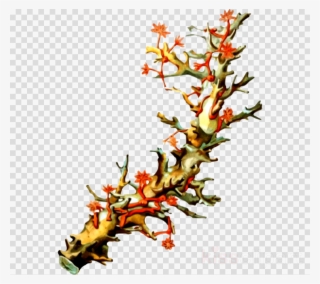 A Passionate History