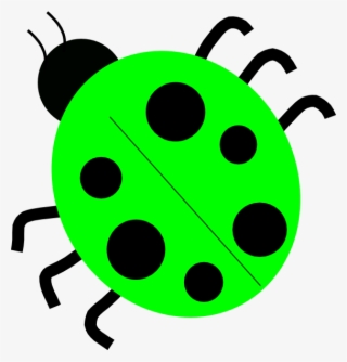 Lady Beetle Clipart Ladybug