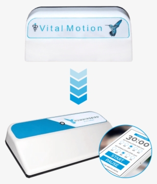 The Hummingbird By Vital Motion