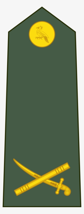 Guyana Defence Force Brigadier General Rank Insignia