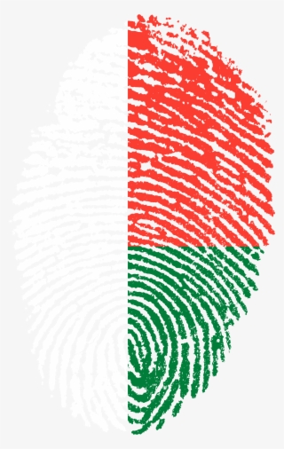 Madagascar Flag Fingerprint Country