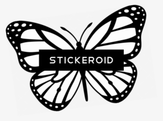 Butterfly With Dots Tattoo