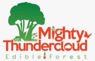 Mighty Thundercloud Edible Forest
