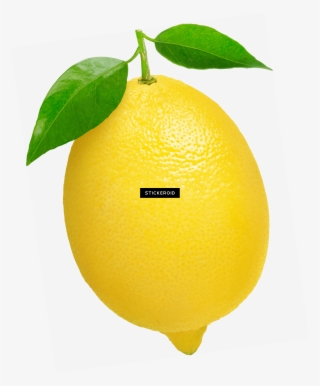Лемон Lemon