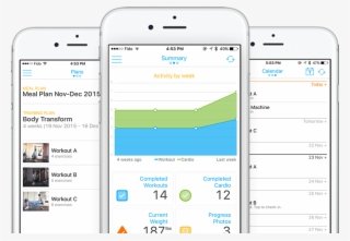 Custom Online Personal Training & Nutrition