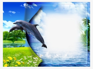 Nature Frame Png