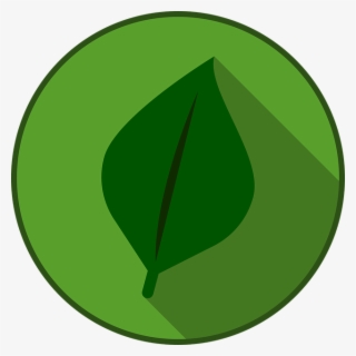 Pokemon, Type, Element, Design, Symbol, Sign, Icon