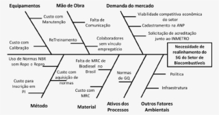 Diagrama De Causa E Efeito Do Setor De Biocombustíveis