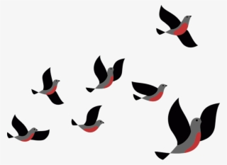 Vinilo Animal Pájaros Volando