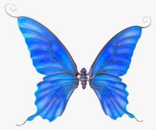 Mariposas Azules Png