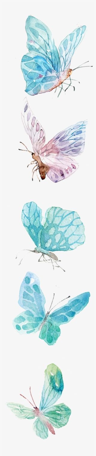 Mariposas Azules Png