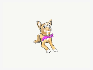 Perrito