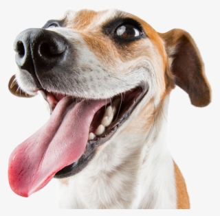 Email ¡déjanos Tu E-mail Y Te Enviaremos Contenido