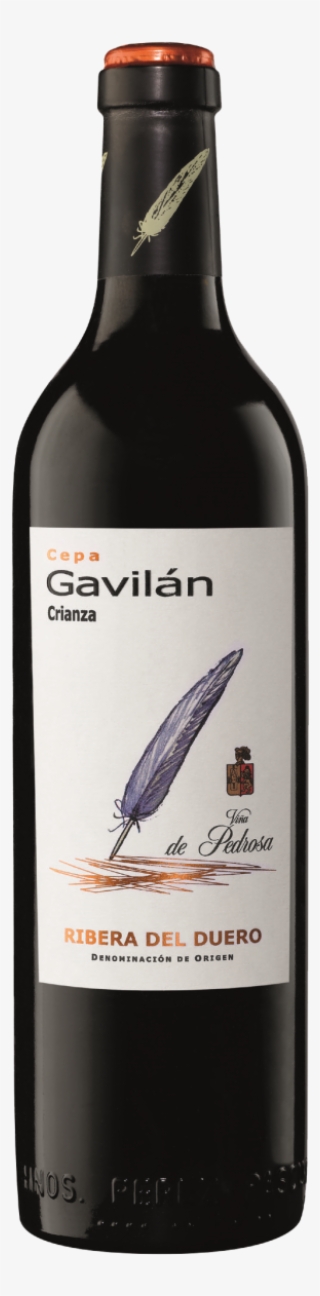 Cepa Gavilan Vina Pedrosa