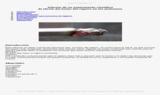 Informe-experimento Cientifico Efecto Del Humo Del