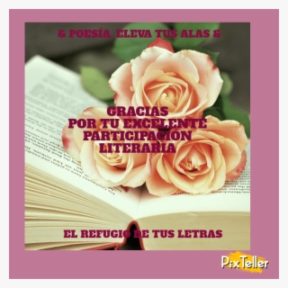 Martha Elena Ulloa Aguilar › Rosas