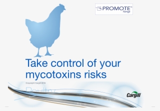 Take Control Of Mycotoxin Risks In Poultry