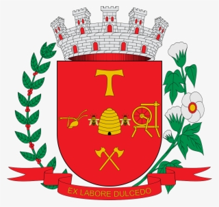 Brasão De Americana