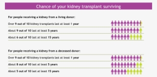 Transplants Survival Table