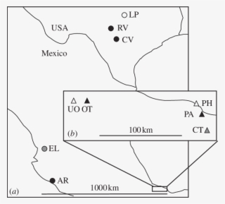 Distribution Of The Five H