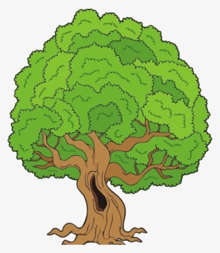 Gifs De Árvores, Imagens De Árvores Png Fundo Transparente