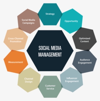 Do Social Media Management And Marketing At Best Price