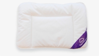 T060183 - Pillow Moos