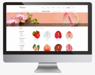 Show Varieties Breeding Software